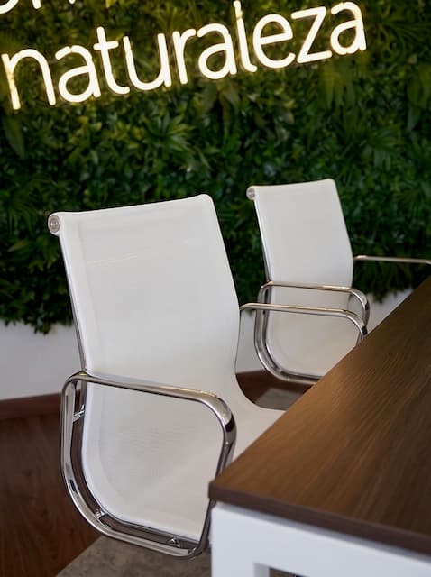 Conjunto Mesa de Reunión Madera y 5 Sillas Ergonómicas Blancas